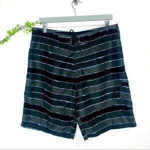 Eastern Mountain Sports striped Swim Trunks